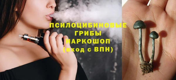 прущий лед Верея
